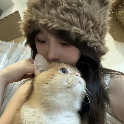 美国的儿子